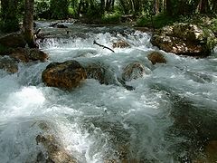 photo "Water"