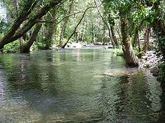 photo "Water #2"