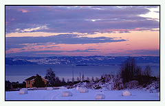 photo "Colors of the evening"