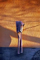 фото "On The Wire"