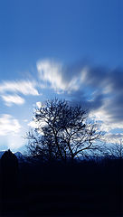 photo "Winter at a glance"