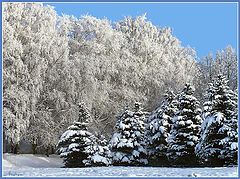 photo "Untitled photo"