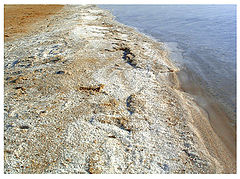 photo "Salt of the Dead Sea."