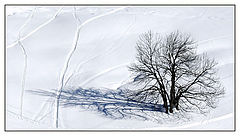 фото "Winter 9950"