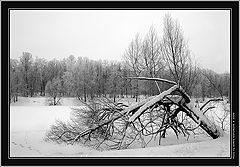 photo "Winter - 2004. On a break."