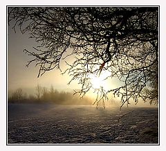 photo "Foggy day"