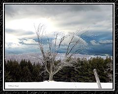 photo "Snow N Ice"