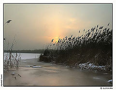 photo "Morning balance"