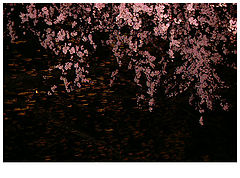 photo "deep"