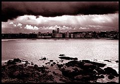 photo "After a rain"