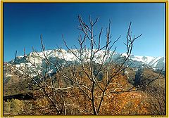 photo "Autumn already..."