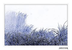 photo "*****"