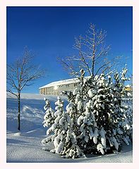 photo "Winter etude"