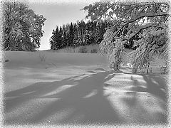 photo "Black/white mood"