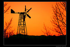 photo "Windmill at Dusk"