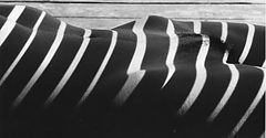 photo "Under a chaise"