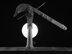 photo "Full Moon"