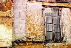 фото "Long lasting"