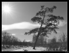 photo "***"