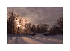 photo "The winter sun"