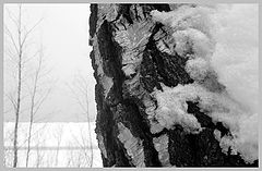 фото "windward"