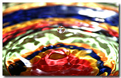 photo "Rainbow Drop"