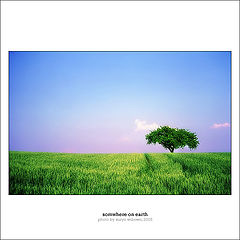 album "poly"