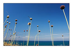фото "Family Meeting"