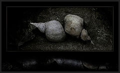 photo "still life"