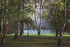 photo "Coloured morning"