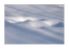 photo "Snow Melody"