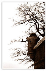 фото "Башенка"