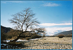 фото "***"