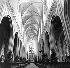 photo "Antwerps cathedral"