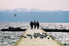 фото "Intruders"