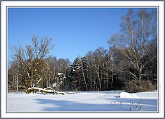 photo "Winter - 2004. Etude1"