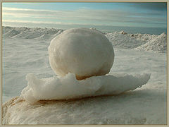 фото "The colors of white"