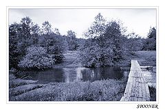 фото "(**)"