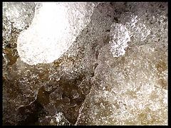 фото "ice"