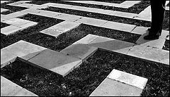 фото "Where to go"