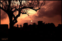 photo "Decline"