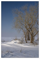 фото "Зимний этюд"