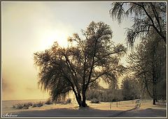 photo "Untitled photo"