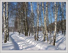 photo "February #1"