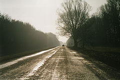 photo "The road home"