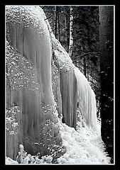 photo "Ice"