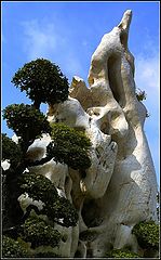 photo "The survivor from the Stone Age"