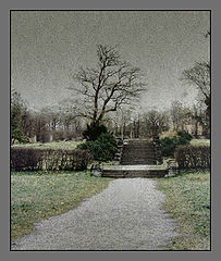 photo "old garden"