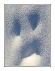 фото "Снежное привидение или Карлсон под снегом"