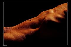 фото "Torso"